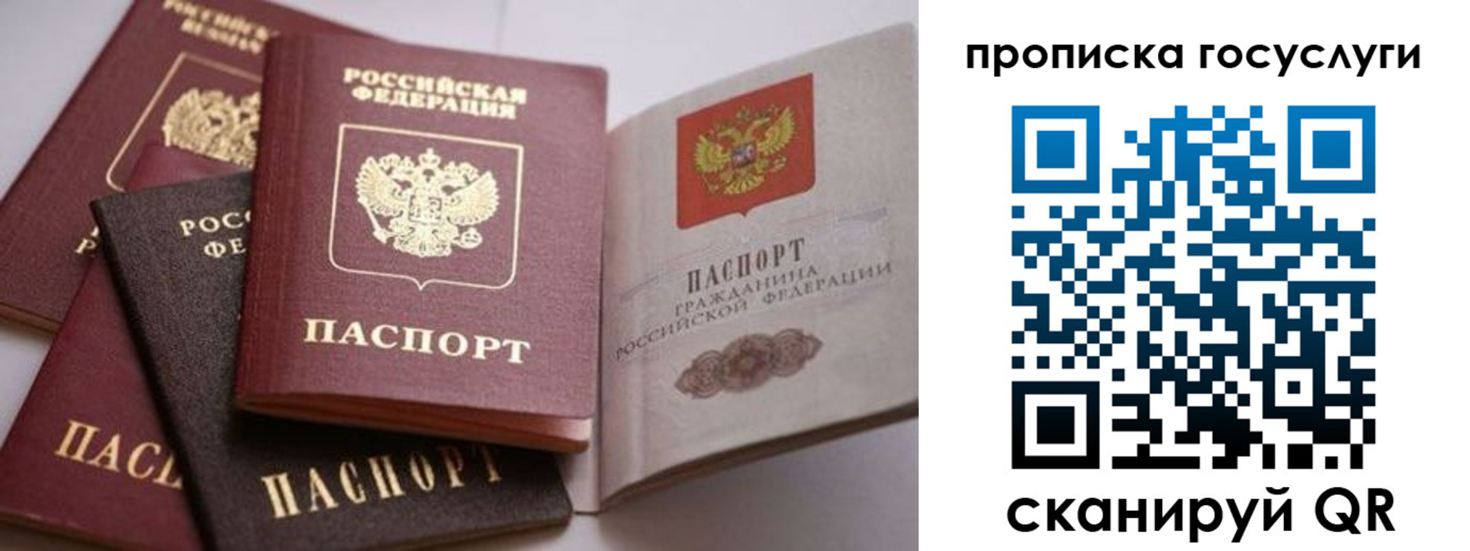 прописка штамп в Шимановске